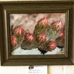 Cactus Buds by Kim Clements