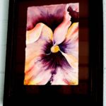 Sun Touched Pansy by Raini Armstrong