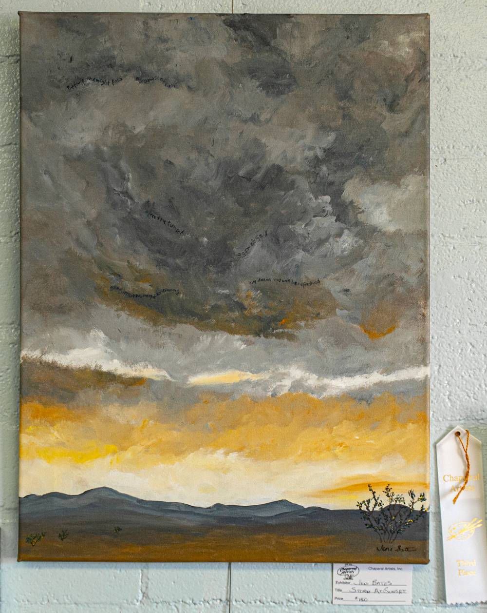 Storm at Sunset by Jeni Bate