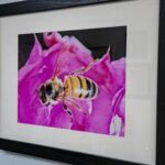 Honey Bee by Patricia Quandel