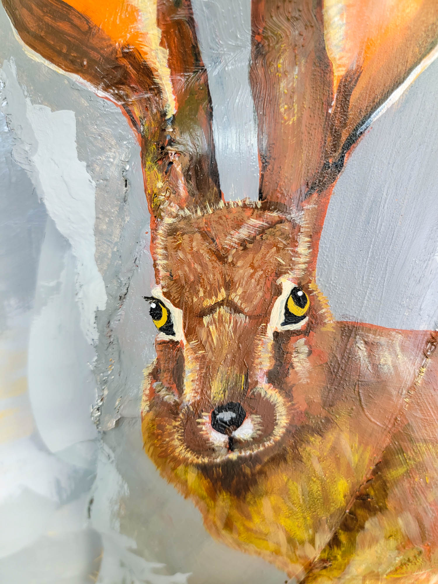 Desert Hare by Jennifer Grandi b
