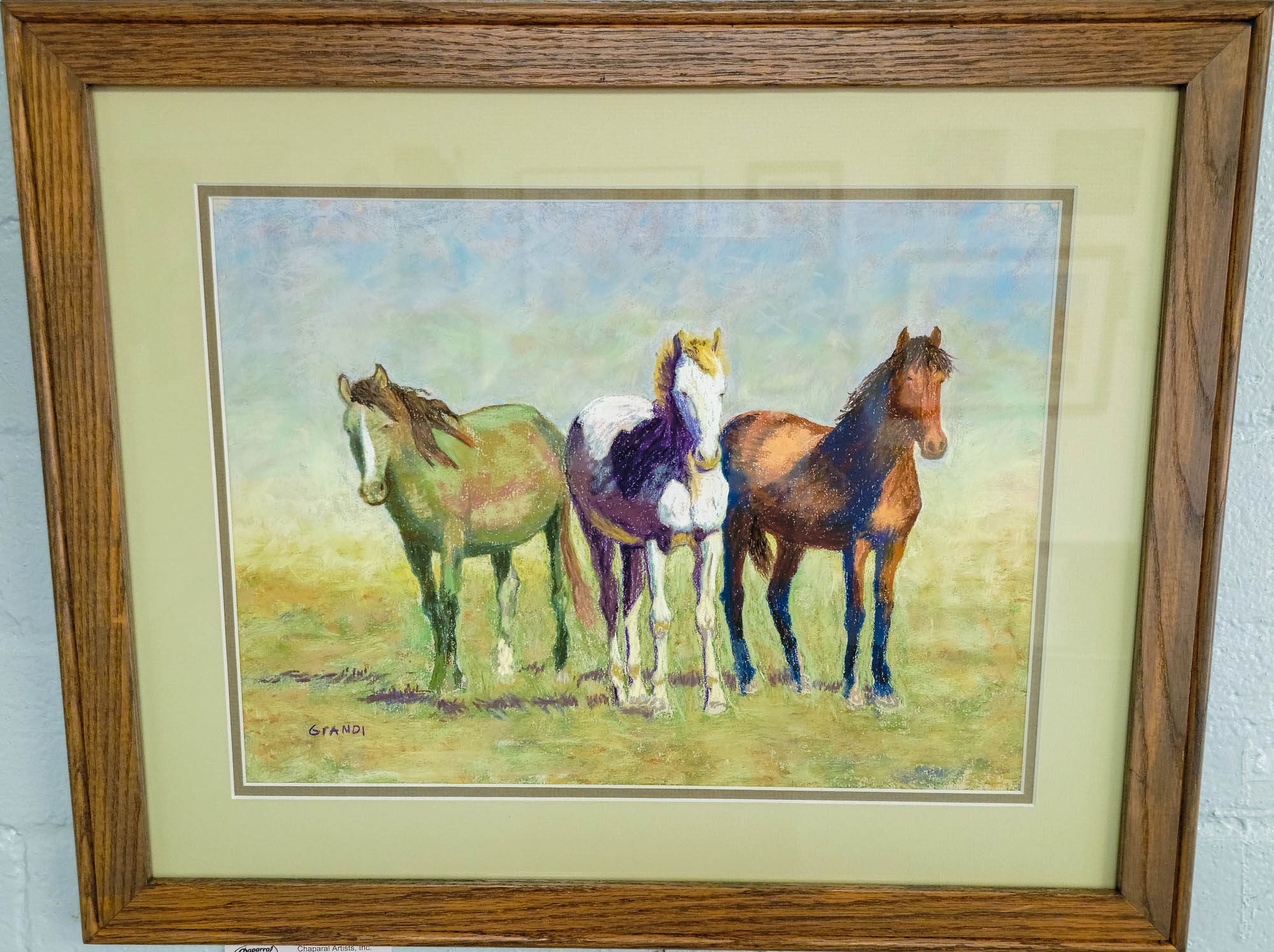 Wild Horses by Jennifer Grandi