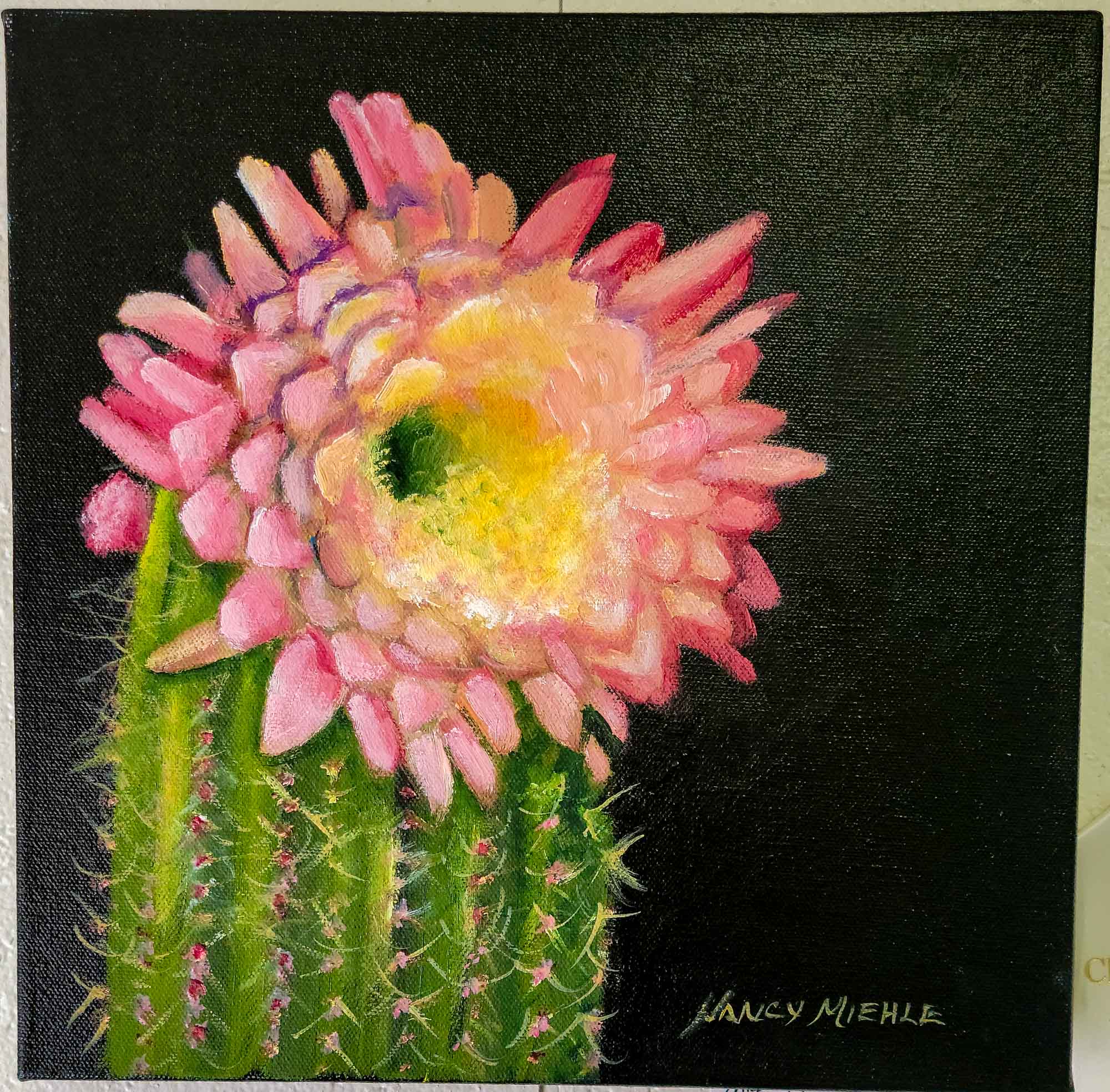 Cactus Flower by Nancy Miehle