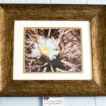 White Flower in Bronze by Kim Clements