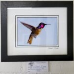 Hummingbird 4 by Bob Rufer