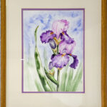 Two Purple Iris by Julia Terpening
