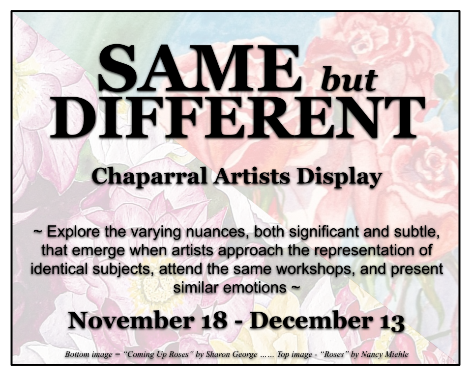 NOVEMBER - Same/Different