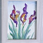 Iris Glimmers by Myrtle Cassell