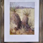 Sunlight on Yuccas by Jennifer Grandi
