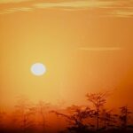 Everglades Dawn BY Bob Rufer