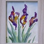  Iris Glimmers by Myrtle Cassell