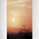 Everglades Dawn by Bob Rufer