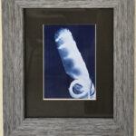 Sacred Feather by Myrtle Cassell