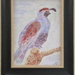Sweet Bird by Myrtle Cassell