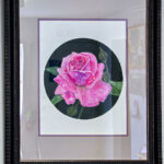  Dewy Rose by Sharon George