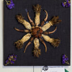 All Natural by Kathy Miller