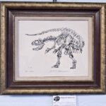 Alasaurus by Jim Thompson
