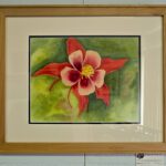 Columbine by Sharon George