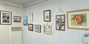 202501-anythinggoes- wall south