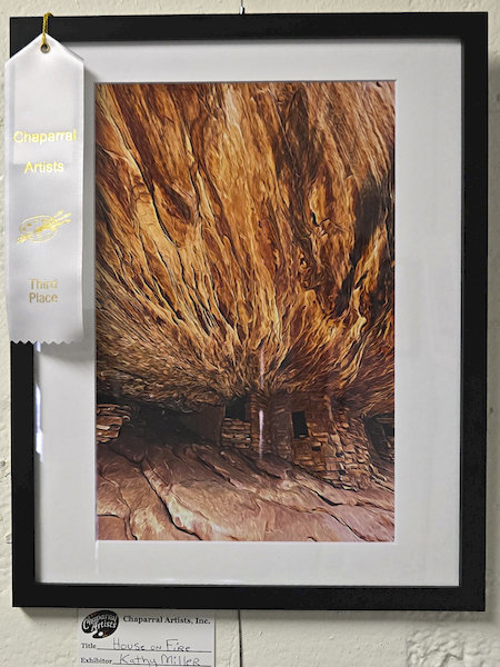 House on Fire by Kathy Miller