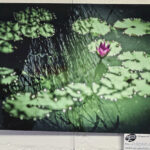 Abstract Waterlilies by Victoria Sebanz