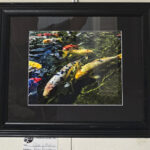 Color In Motion by Raini Armstrong