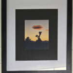 Love Joshua Tree by Tracie Schatz