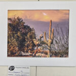 Saguaro1 by Myrtle Cassell