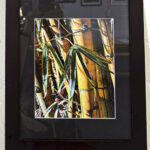 Tales from the Past by Raini Armstrong