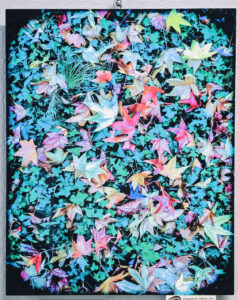202603-AFFA- Rousseau Leaves by Victoria Sebanz